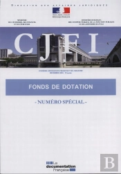 Les Fonds De Dotation (Numero Special Cjfi)