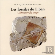 Les Fossiles Du Liban - Memoire Du Temps