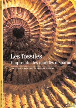 Bertrand.pt - Les Fossiles ; Empreintes Des Mondes Disparus