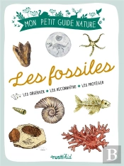 Les Fossiles : Les Observer, Les Reconnaître, Les Protéger