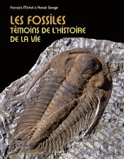 Les Fossiles ; Témoins De L'Histoire De La Vie
