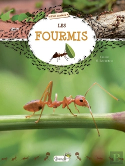 Bertrand.pt - Les Fourmis
