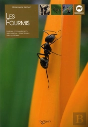 Les Fourmis ; Espèces ; Comportement ; Reproduction ; Alimentation ; Soins Quotidiens