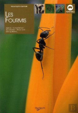 Bertrand.pt - Les Fourmis ; Espèces ; Comportement ; Reproduction ; Alimentation ; Soins Quotidiens