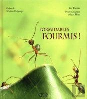 Les Fourmis