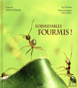 Bertrand.pt - Les Fourmis