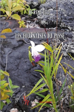 Bertrand.pt - Les Fournaises Du Passé