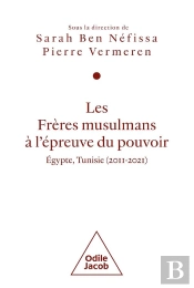 Les Frères Musulmans À L'Épreuve Du Pouvoir : Égypte, Tunisie (2011-2021)
