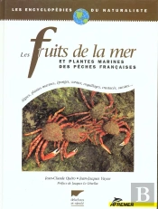 Les Fruits De Mer Et Autres Plantes Marines Des Peches Françaises