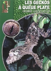 Les Geckos À Queue Plate - Le Genre Uroplatus