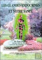 Les Glandes Endocrines Et Notre Sante