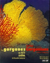 Les Gorgones Des Recifs Coralliens De Nouvelle Caledonie