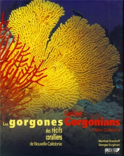 Bertrand.pt - Les Gorgones Des Recifs Coralliens De Nouvelle Caledonie
