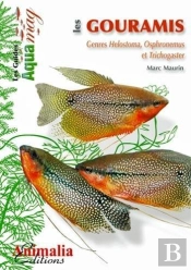 Les Gouramis