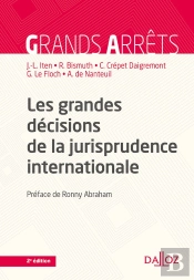 Les Grandes Décisions De La Jurisprudence Internationale