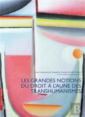 Les Grandes Notions Du Droit À L'Aune Des Transhumanismes