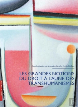 Bertrand.pt - Les Grandes Notions Du Droit À L'Aune Des Transhumanismes