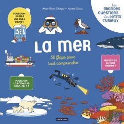 Bertrand.pt - Les Grandes Questions Des Petits Curieux : 50 Flaps Pour Tout Comprendre : La Mer