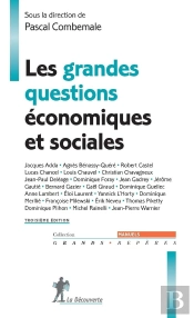 Les Grandes Questions Économiques Et Sociales (3e Édition)