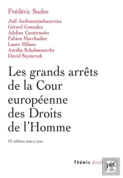 Les Grands Arrets De La Cour Européenne Des Droits De L'Homme (10e Édition)