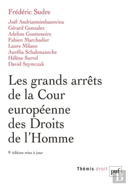 Bertrand.pt - Les Grands Arrets De La Cour Europeenne Des Droits De L'Homme