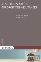 Les Grands Arrêts Du Droit Des Assurances