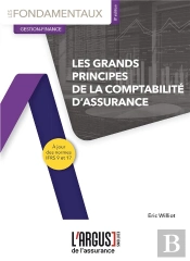 Les Grands Principes De La Comptabilité D'Assurance