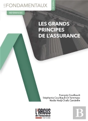 Les Grands Principes De L'Assurance (15e Édition)