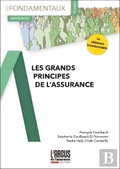 Les Grands Principes De L'Assurance (17e Édition)