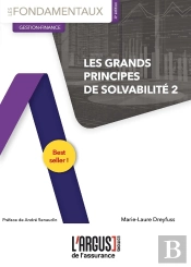 Les Grands Principes De Solvabilité 2