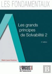 Les Grands Principes De Solvabilite Ii 2eme Edition
