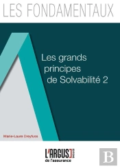 Les Grands Principes De Solvabilite Ii