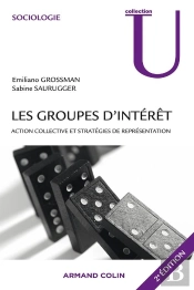 Les Groupes D'Intérêt  ; Action Collective Et Stratégies De Représentation (2e Édition)