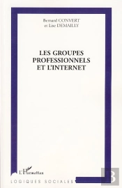 Les Groupes Professionnels Et L'Internet
