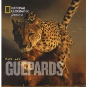 Les Guépards