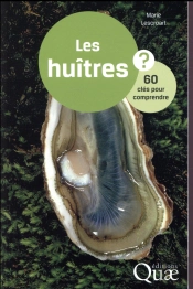 Les Huitres En Questions