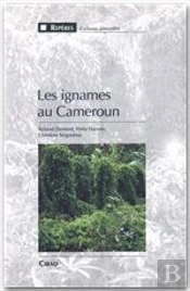 Les Ignames Au Cameroun