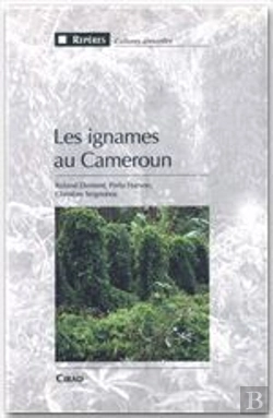 Bertrand.pt - Les Ignames Au Cameroun