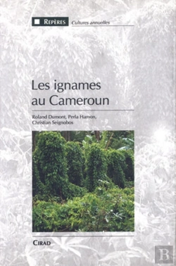 Bertrand.pt - Les Ignames Au Cameroun