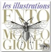Les Illustrations Entomologiques
