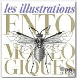 Bertrand.pt - Les Illustrations Entomologiques