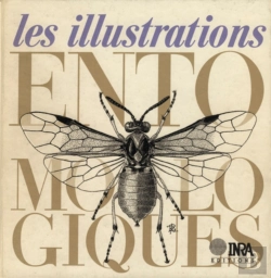 Bertrand.pt - Les Illustrations Entomologiques