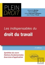 Les Indispensables Du Droit Du Travail (2e Édition)