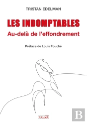 Les Indomptables : Au-Delà De L'Effondrement