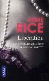 Les Infortunes De La Belle Au Bois Dormant T.3