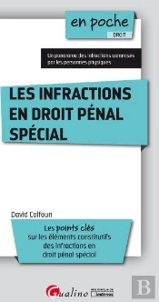 Les Infractions En Droit Penal Special 2019 - 16 Fiches Pour Connaitre Les Principales Infractions E