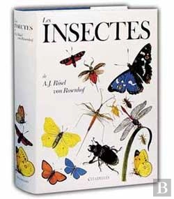 Bertrand.pt - Les Insectes