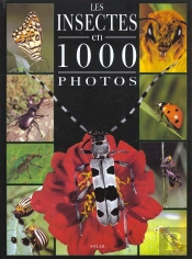 Les Insectes En 1000 Photos