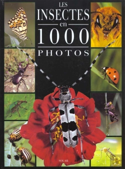 Bertrand.pt - Les Insectes En 1000 Photos