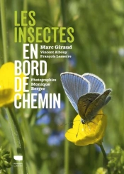 Les Insectes En Bord De Chemin